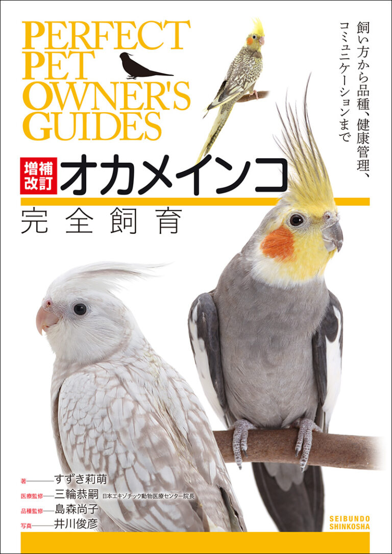 オカメインコ完全飼育